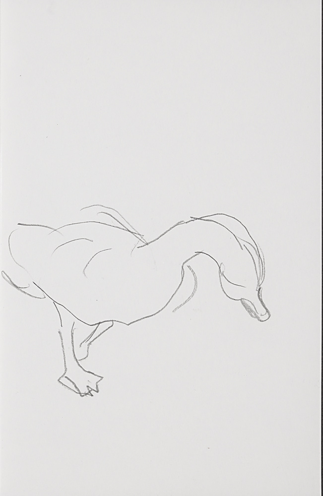 gans-zine-2.jpg